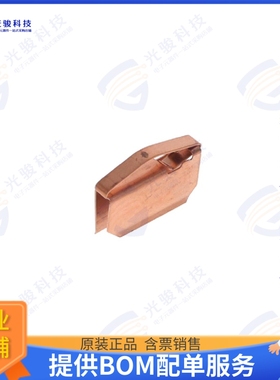 97097302 射频元件CARD GUI CLIPON BECU 3.05X9.53MM