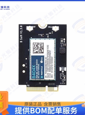 B404XMEA 射频元件B-SERIES LTE-M (NORAM, ETHERSIM)