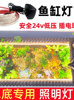 古法养鱼鱼缸低压防水led灯带水下专用泡水灯带自粘超亮软灯条24V