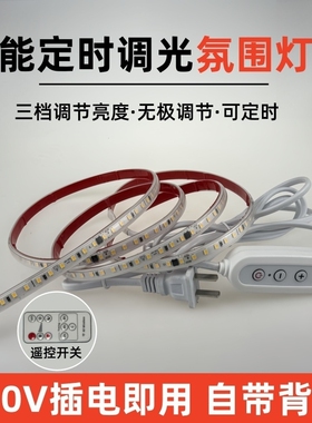 高压220V智能定时无极调光灯带led灯条自粘超亮开关床头氛围灯带