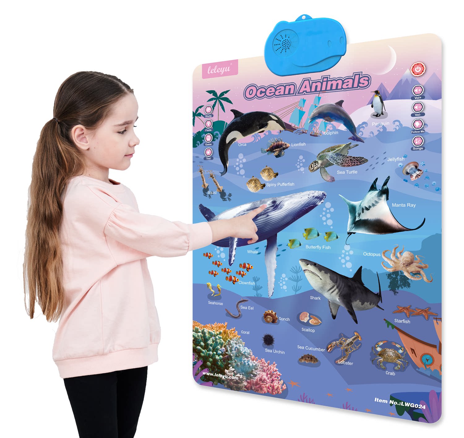 外贸出口英文海洋动物场景有声挂图益智玩具百科知识趣味问答生物