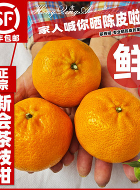 【陈皮专用果实】2025年新会茶枝柑新鲜小青柑陈皮柑鲜果大青果实