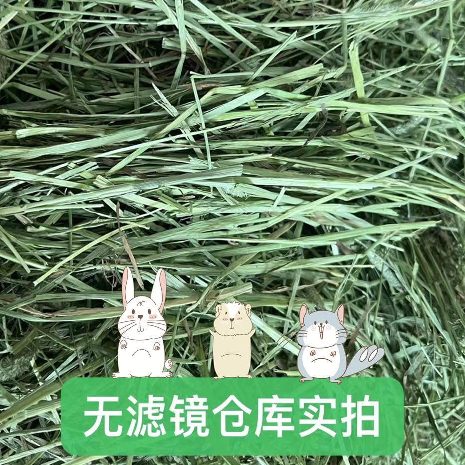 适口性佳提摩西美国进口