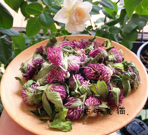 龙猫零食红三花提高抵抗力