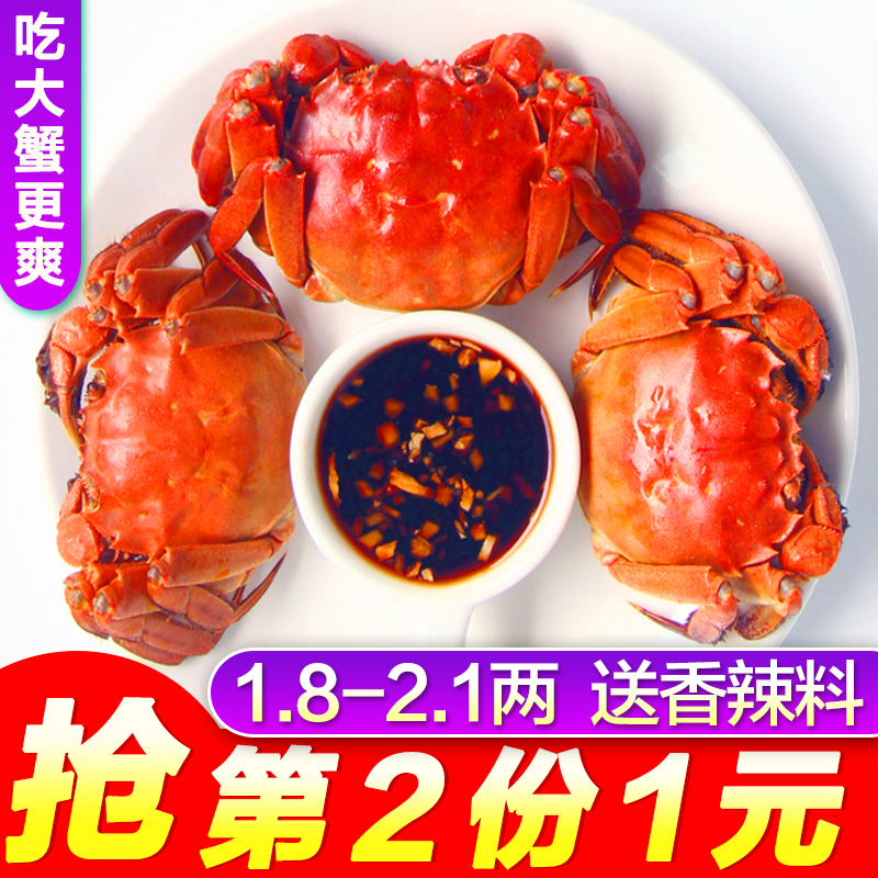 湖中明珠現貨螃蟹鮮活陽澄湖六月黃大閘蟹1.8-2.1兩6只