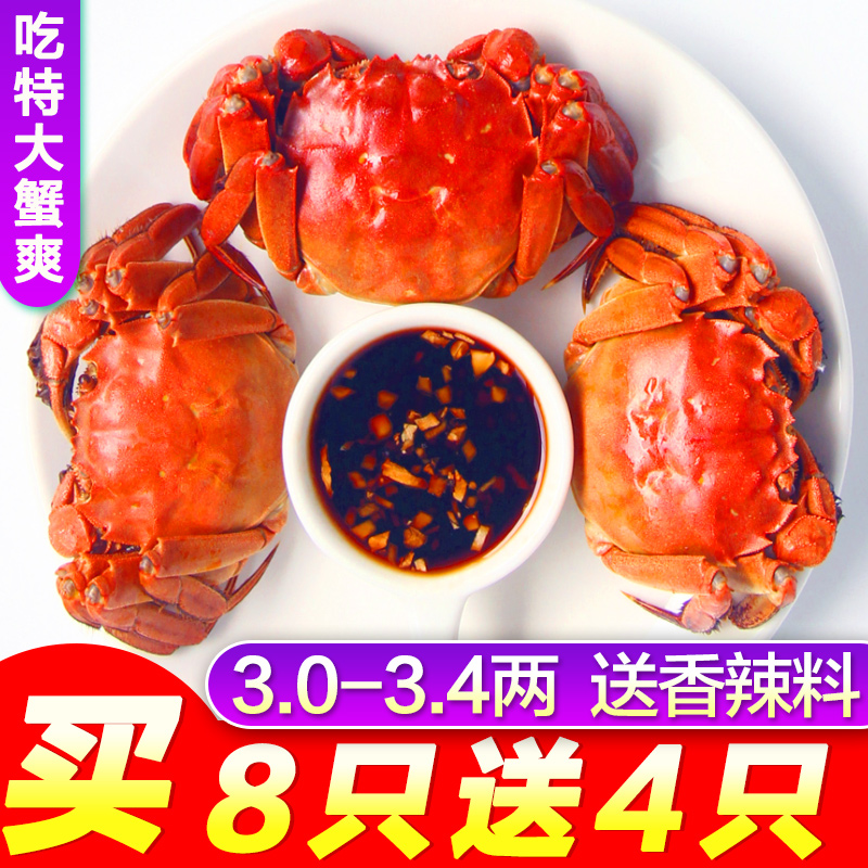 【共12只】湖中明珠現貨螃蟹鮮活陽澄湖六月黃大閘蟹3.0-3.4兩
