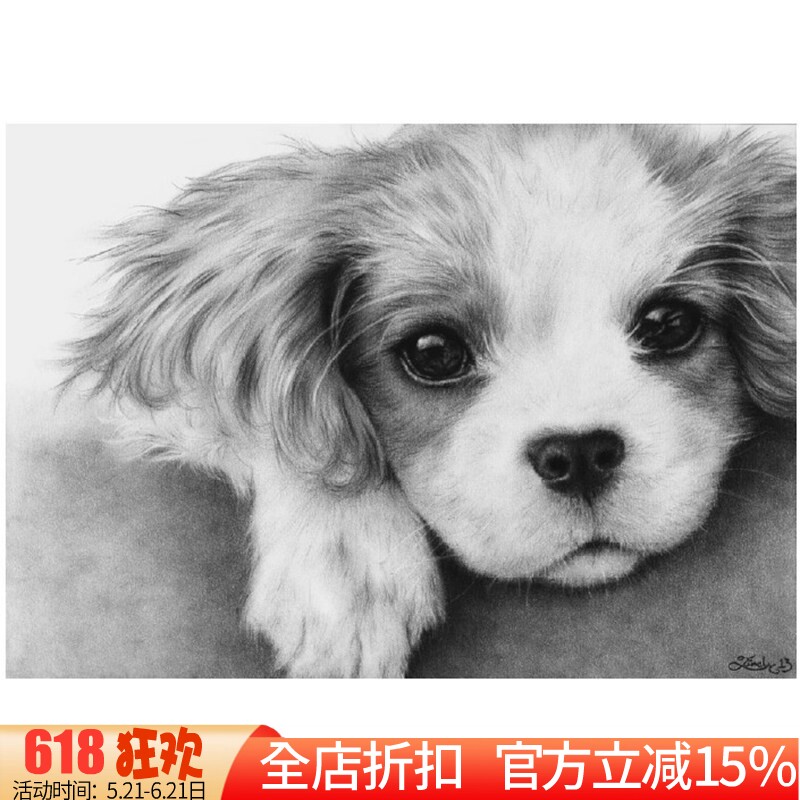 新款正品DMC十字绣纯棉手工线绣满绣客厅卧室餐厅动物画黑白小狗