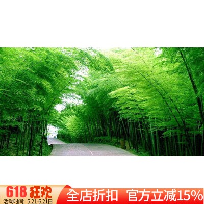 精准印花正品绣线十字绣DMC客厅