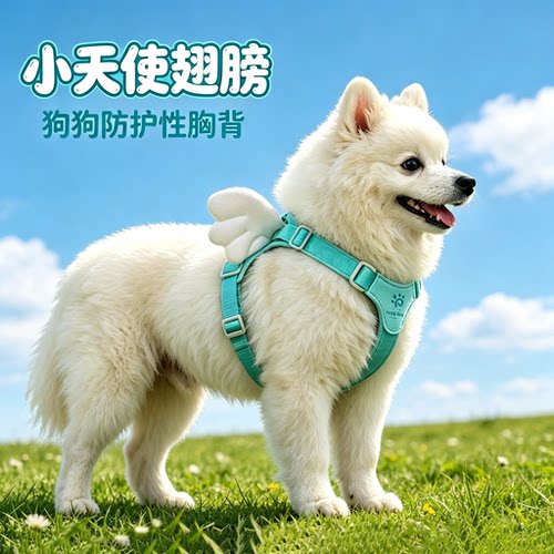 狗狗牵引绳天使翅膀防挣脱胸背式
