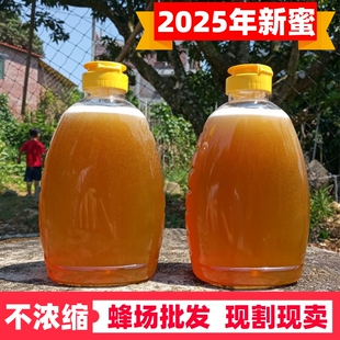 土蜂蜜纯正天然农家自产正宗原蜜荔枝蜜2斤装正品非结晶蜜百花蜜
