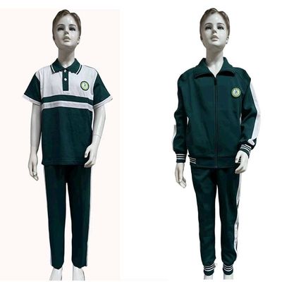 英德市第一小学T恤新和小学夏裤