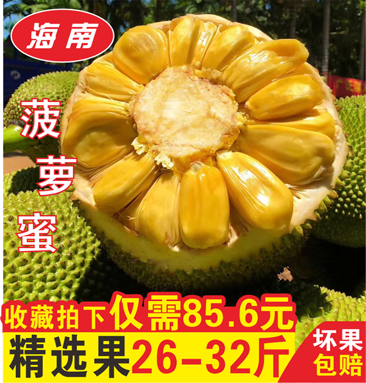 海南特产三亚干苞菠萝蜜新鲜水果包邮30斤现摘现发一整个波罗蜜红