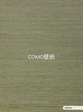 荷兰进口Tapetex横纹真丝Nirmala墙纸墙布69-2308 2309 2310 2311