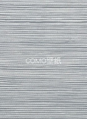 荷兰进口BN 伊麦哲Imagine 压纹墙纸221020 221021 221022 221023