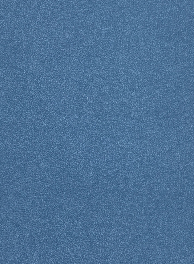 KSMS 艺术漆肌理无缝墙布壁布WS1-21-22-23-24-25-26-27-28-29-30