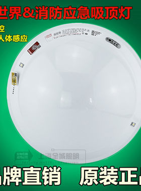 光世界应急吸顶灯N-ZFZD-E5W1310消防强声光控红外人体感应吸顶灯