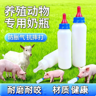 奶壶奶瓶仔猪羊羔奶嘴人工羔羊小猪养殖动物兽用专用喂奶神器小羊