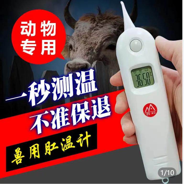 兽用电子体温计猪用电子温度计宠物电子体温计动物肛温表狗猫犬