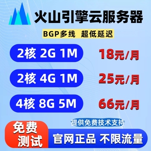 火山云服务器火山引擎BGP云主机租用搭建独立ip电商天翼云vps远程