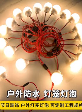 户外防水串联灯LED灯笼墙长廊专用中秋节景区花灯展造型连串灯泡