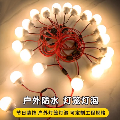 户外防水串联灯LED灯笼墙长廊专用中秋节景区花灯展造型连串灯泡