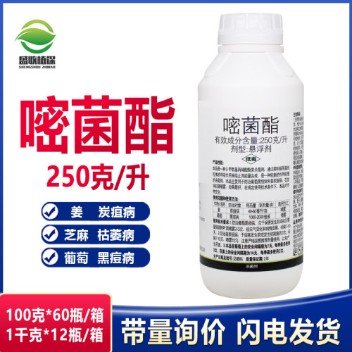 250克/升嘧菌酯姜芝麻葡萄炭疽病枯萎病黑痘病蔬菜果树农药杀菌剂