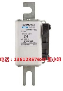 伊顿170M3973 170M3974 170M3975 170M3991保险管熔断器BUSSMANN