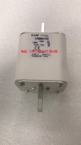 伊顿熔断器170M4243 170M4244 170M4245保险管BUSSMANN全新原装