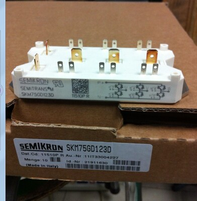 全新原装SKM75GD124D SKM75GD123D德国西门康模块