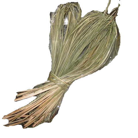 马连草水草绳端午节包粽子专用