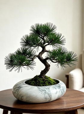 新中式禅意风陶瓷造景盆迎客松黑松专用盆室内桌面绿植鲜花盆栽盆