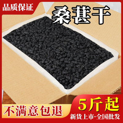 5斤10批发桑椹子桑葚干优范