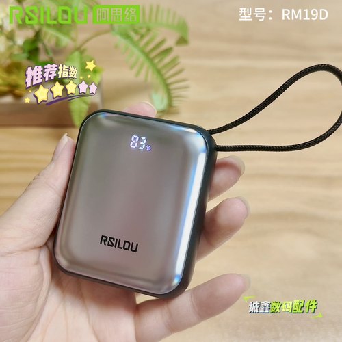 阿思络RM19D自带双线迷你快充款
