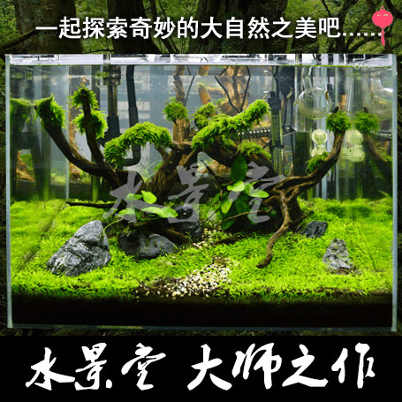 杜鹃根造景套餐 水草缸装饰鱼缸造景鱼缸造景石观 鱼缸水族箱