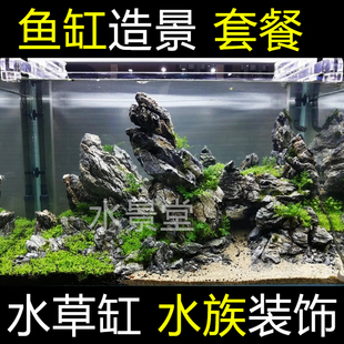 水草缸装 青龙石造景套餐 饰沉木水草小型杜鹃根巴西木鱼缸水族箱