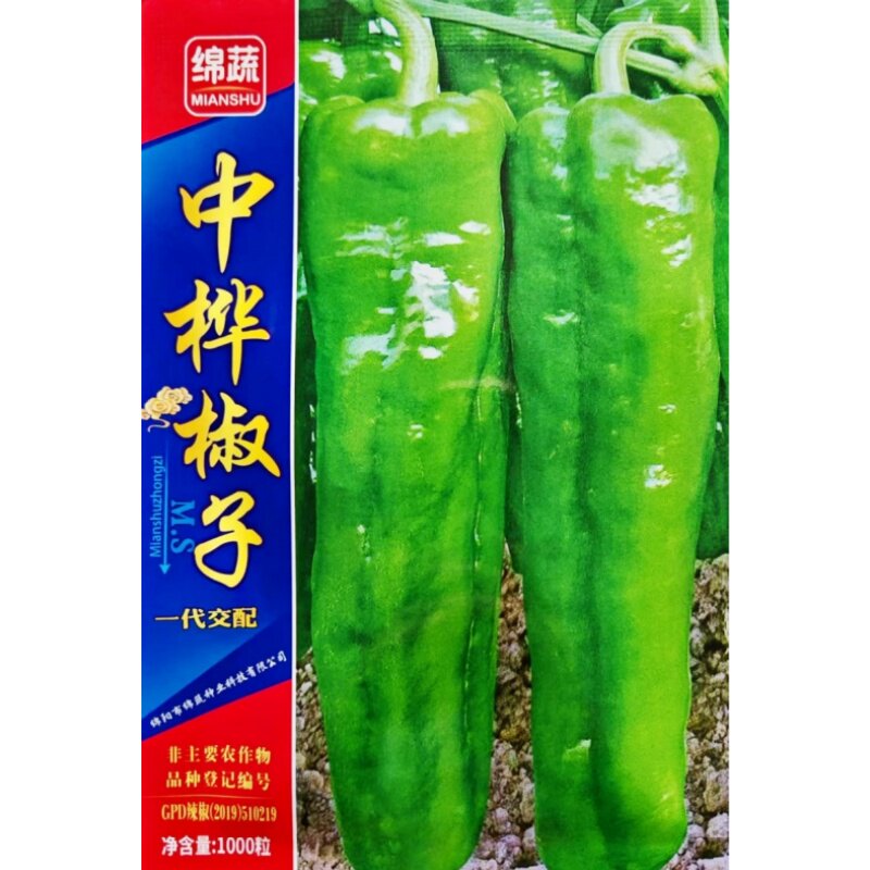 绵蔬辣椒种子大青菜椒高产牛角椒