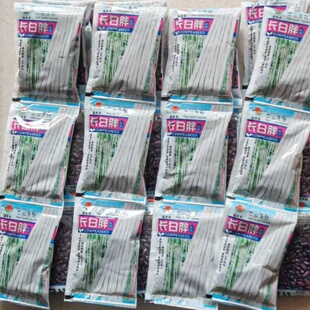 长白胖豇豆种子爬藤豆角种籽肉厚江豆种籽四川春夏季田园蔬菜种孑