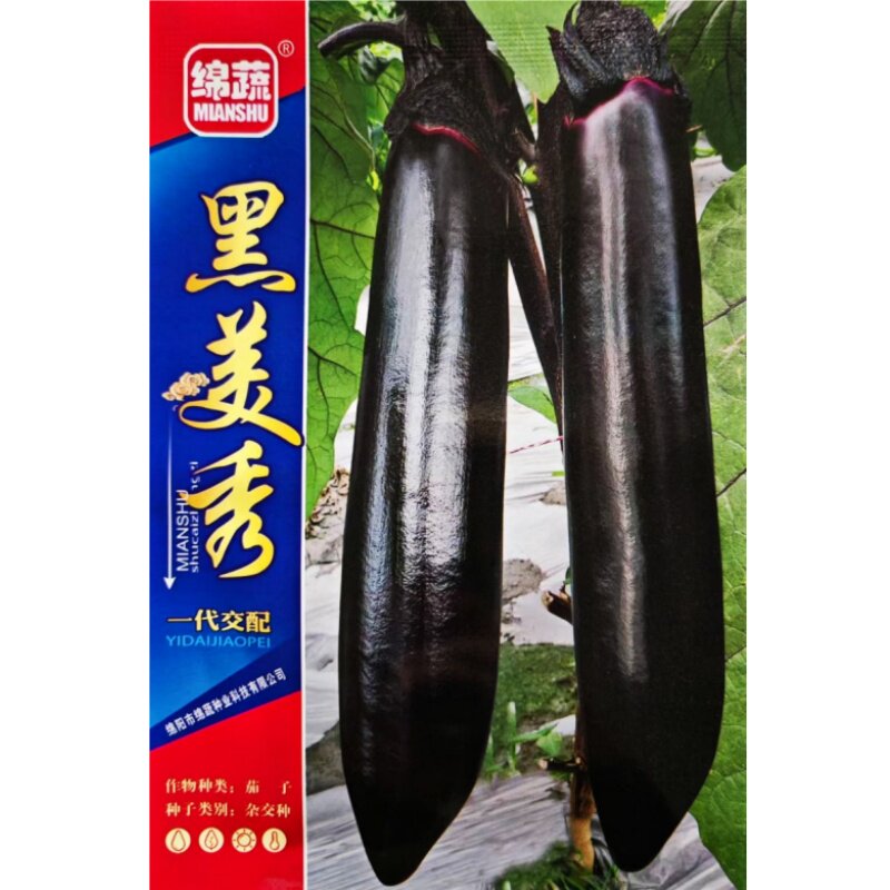 绵蔬杂交油黑亮茄子种子蔬菜种籽
