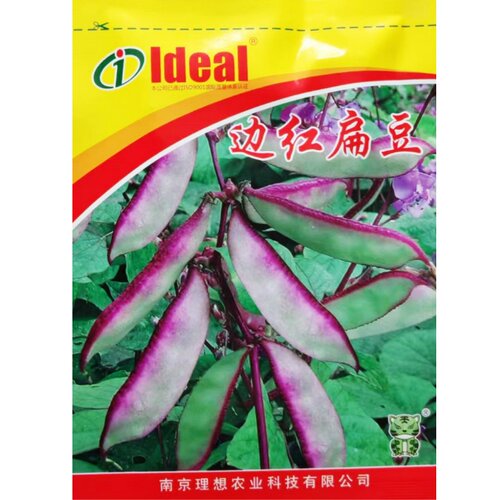 爬藤扁豆种子肉厚眉豆角刀豆种籽
