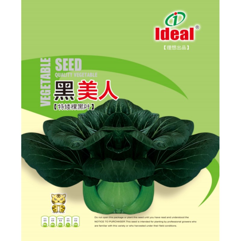 黑美人青菜种子苏州青菜籽小油菜