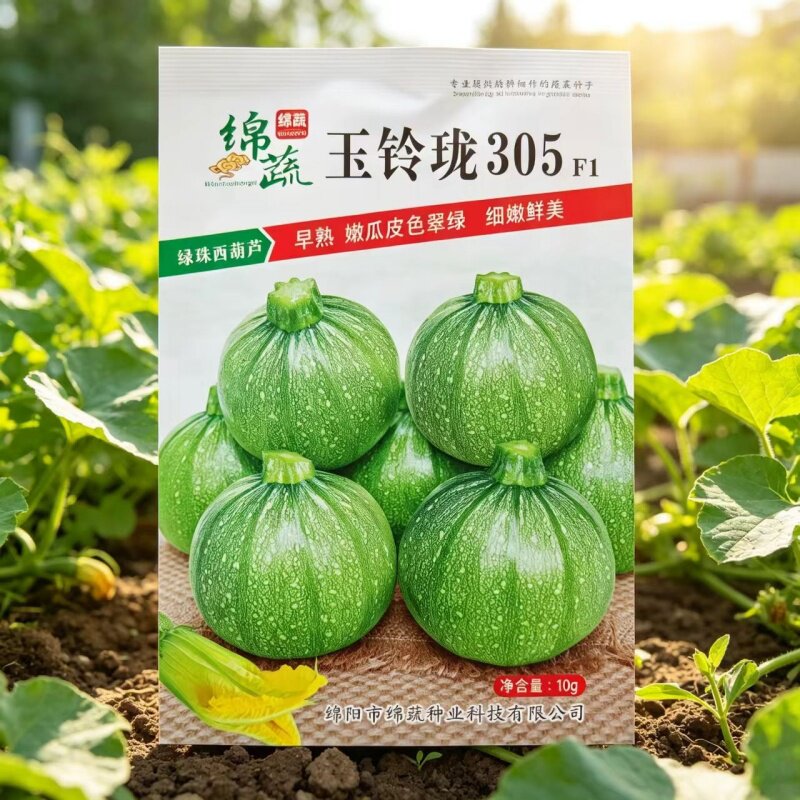圆西葫芦瓜种子玉玲珑西葫芦种籽短蔓矮生小青瓜四川春秋季蔬菜孑