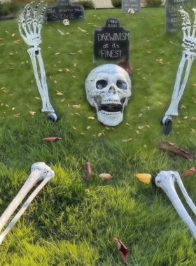 Halloween Skeleton Stake Decorations, Realistic Skeleton Arm