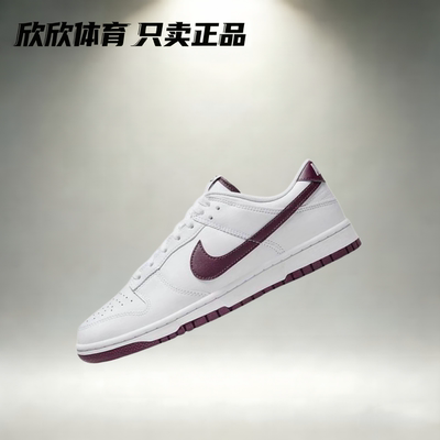 耐克 Nike Dunk Low 男女潮流休闲时尚运动百搭板鞋 HQ1931-300