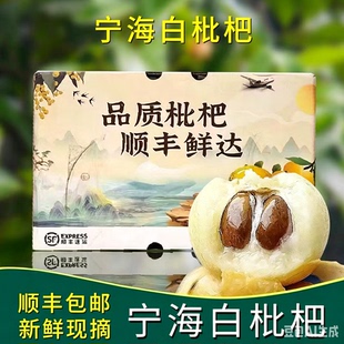 大棚种植尝鲜象山高湾自种纯甜白玉枇杷白梨枇杷自然成熟新鲜采摘