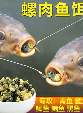 螺肉鱼饵野钓鲫鱼青鱼鲤鱼鲶鱼黑鱼饵料黑坑湖库螺丝肉颗粒钓鱼食