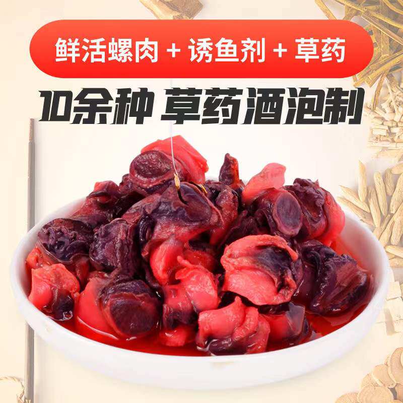 钓鱼血鲜螺鱼饵新鲜螺丝肉小药泡制专攻螺蛳青草鲤黑鲶鱼颗粒饵料