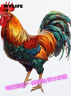 鸿运当头彩色大公鸡防水自粘墙贴墙面装饰贴年画车贴吉祥防晒贴纸