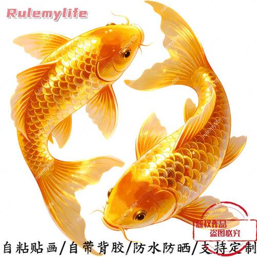 双鱼锦鲤金鱼画抠图自粘贴画卧室