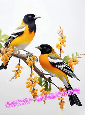 黄鹂报喜贴画自粘飞鸟花鸟贴纸贴墙补贴墙上门窗汽车喜鹊贴花图案