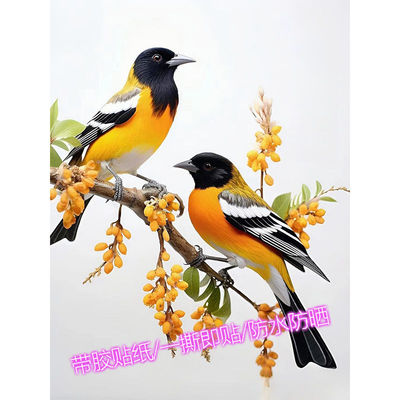 黄鹂报喜贴画自粘飞鸟花鸟贴纸贴墙补贴墙上门窗汽车喜鹊贴花图案